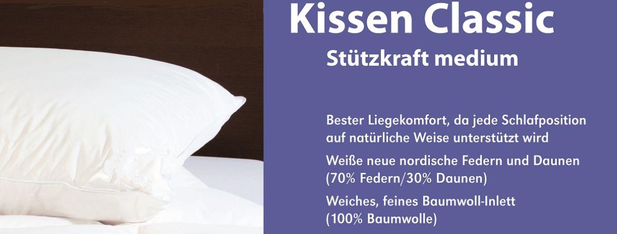 RZ_Einschieber-CS_extra_FD_Kissen-Classic2_1210