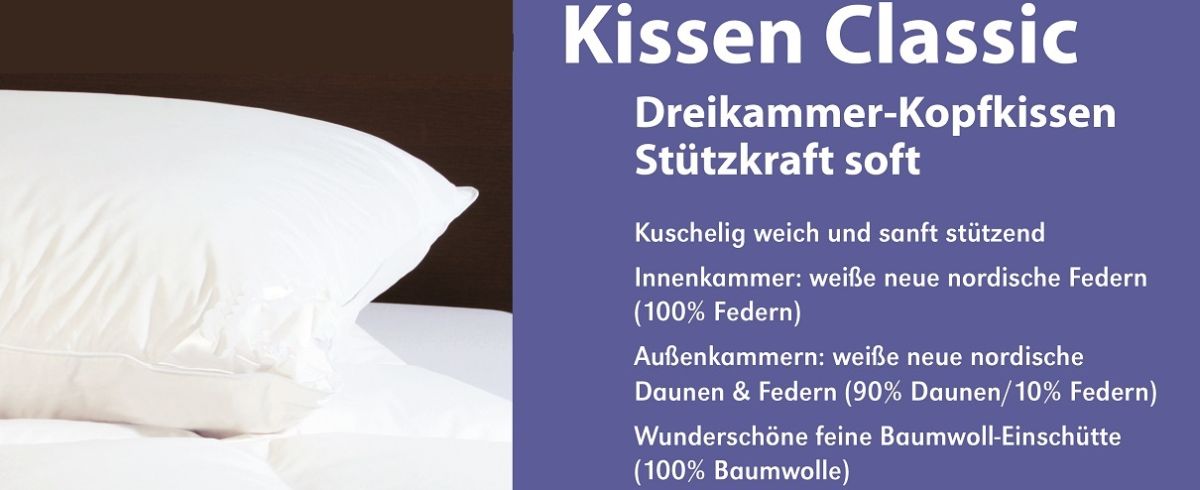RZ_Einschieber-CS_extra_FD_Kissen-Classic3_121056f65fd95c685